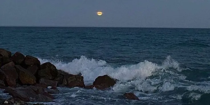 Una imagen descriptiva de la escena podría ir aquí.